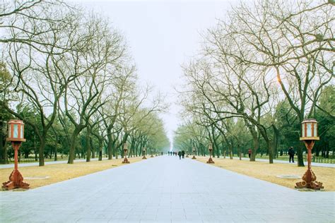 家裡的祖先要每天燒香嗎